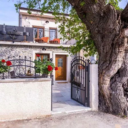 Villa Mulberry Milohnici Exterior photo