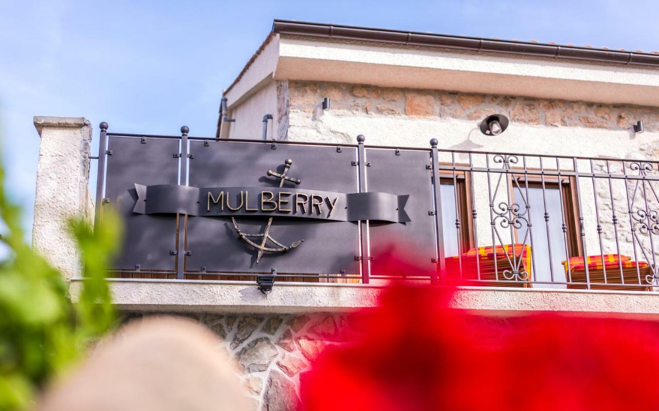 Mulberry Holiday home Milohnici